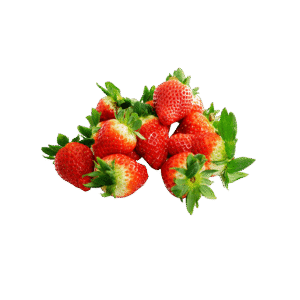 Red Strawberry